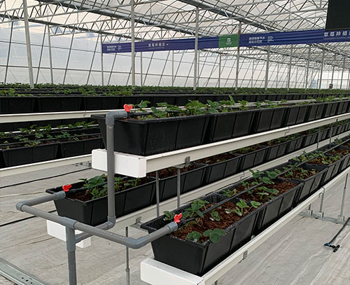 双层支架式草莓栽培种植系统(含种植盆)